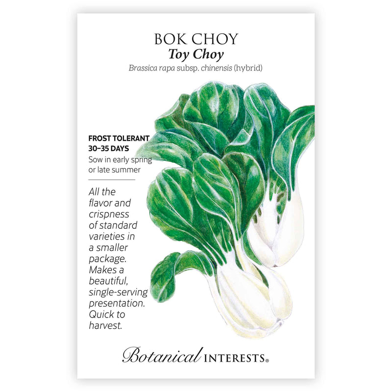 Toy Choy Bok Choy Seeds