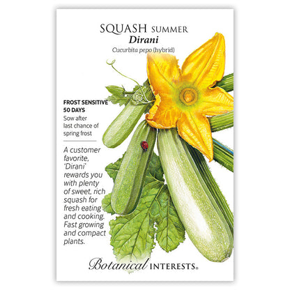 Dirani Summer Squash Seeds Product Image