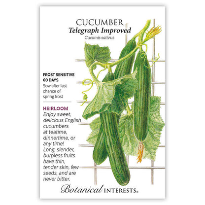 Telegraph Improved Cucumber Seeds