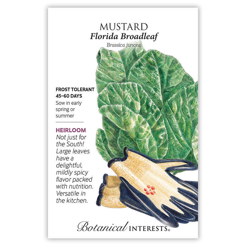florida plant seeds Florida Broadleaf Mustard Seeds