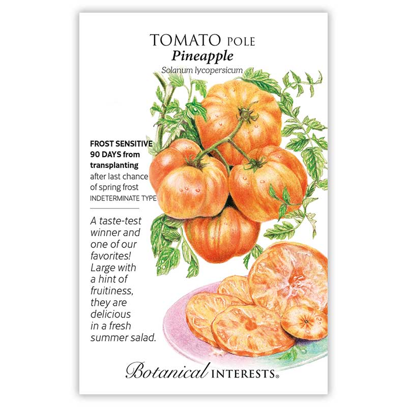 pineapple tomato plant size Pineapple Pole Tomato Seeds