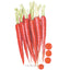 Atomic Red Carrot Seeds Product Image