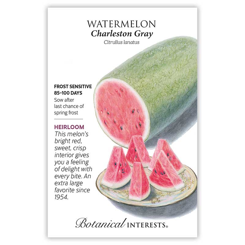 Charleston Gray Watermelon Seeds Epic Gardening   0284w Watermelon Charleston Gray 