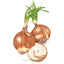 Yellow Sweet Spanish Utah Bulb Onion Seeds