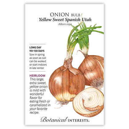 Yellow Sweet Spanish Utah Bulb Onion Seeds Product Image