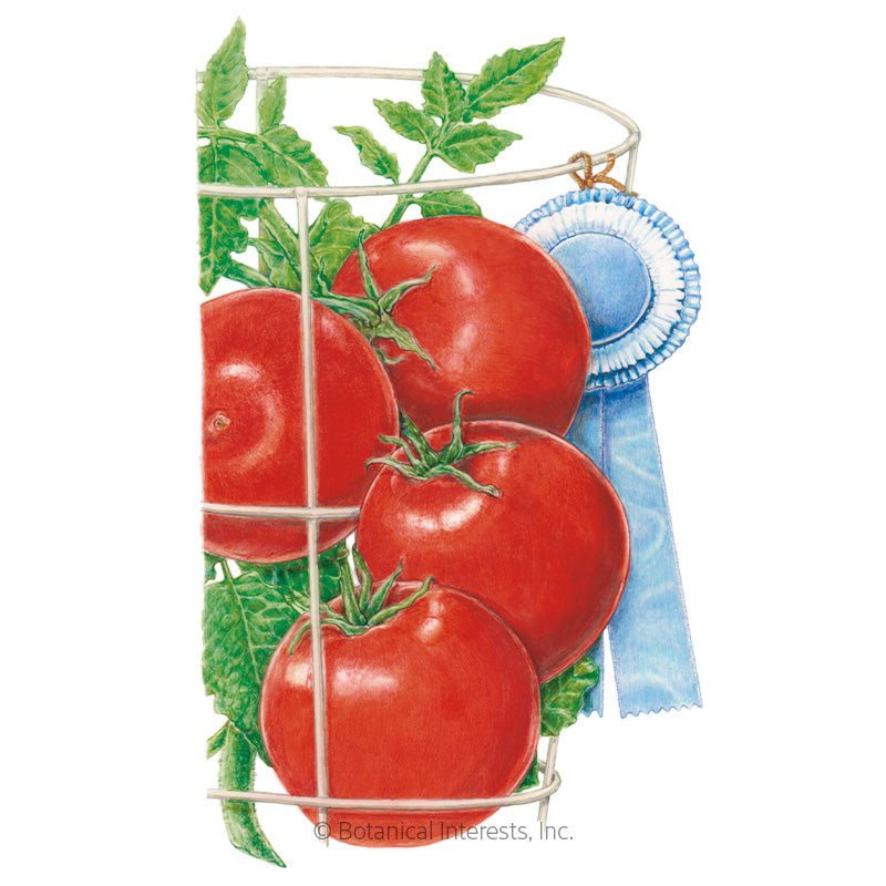 Red Pride Bush Tomato Seeds Product Image