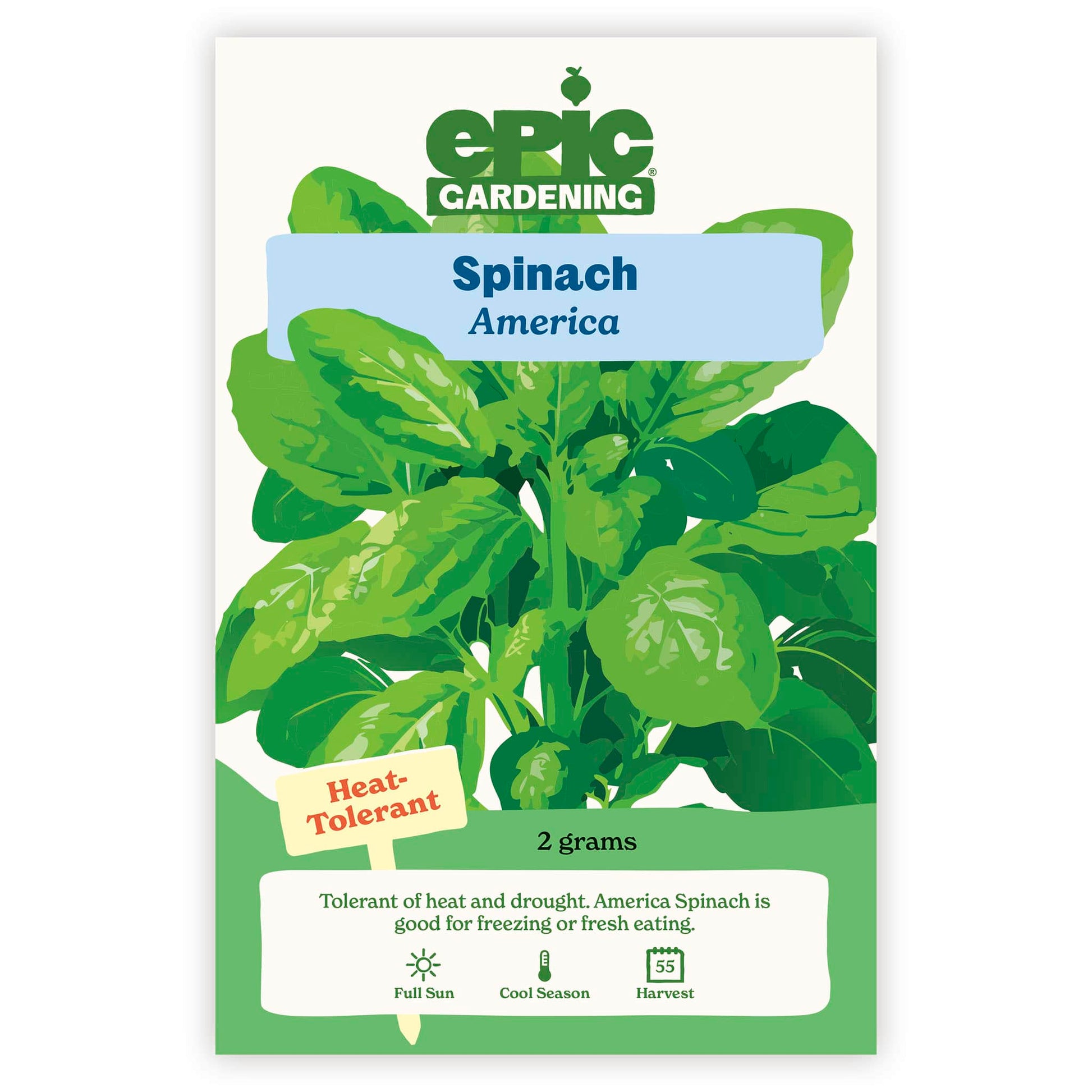 spinach seeds for planting America Spinach | Vegetable Seeds | Heirloom Vegetable Seeds | Organic & Non-GMO