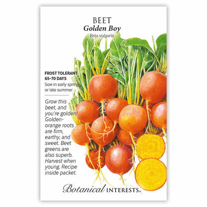 Golden Boy Beet Seeds