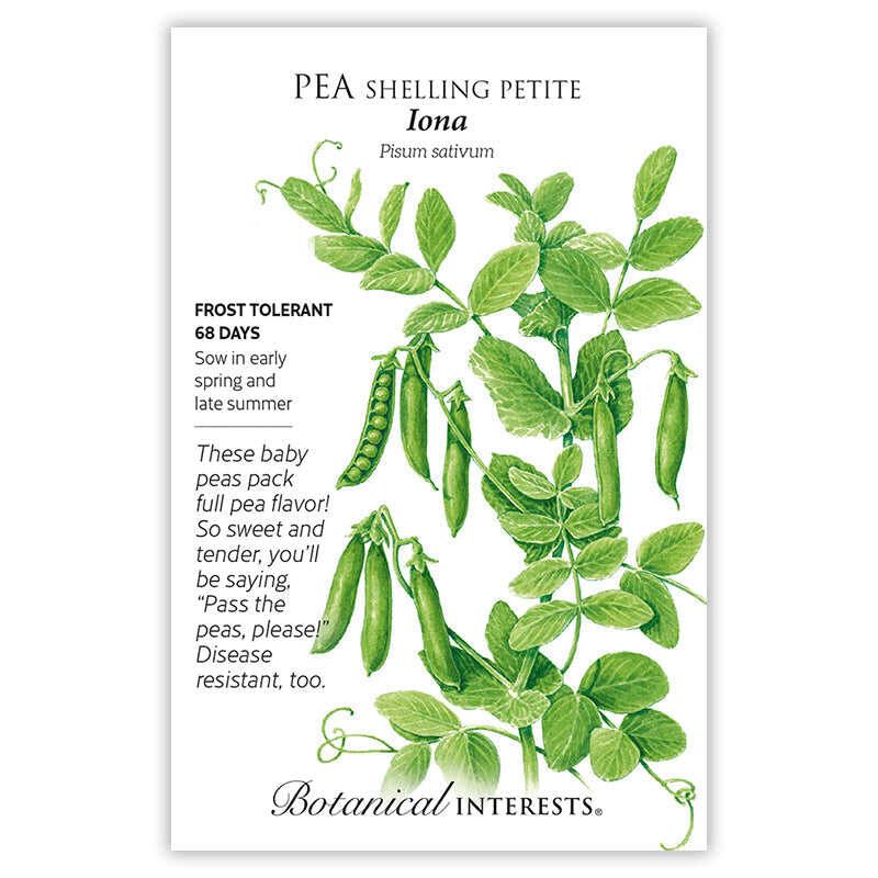 Iona Shelling Petite Pea Seeds – Epic Gardening
