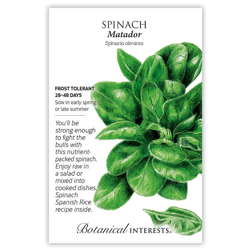 plant spinach seeds Matador Spinach Seeds