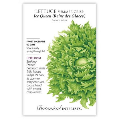 Ice Queen (Reine des Glaces) Crisphead Lettuce Seeds Product Image