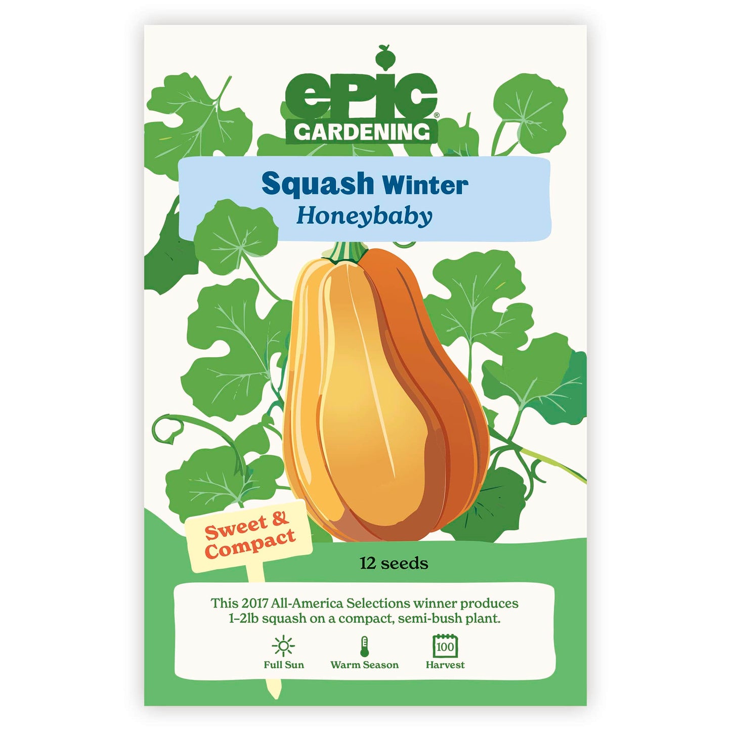 Honeybaby Winter Squash