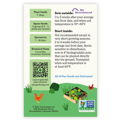 Honeybaby Winter Squash