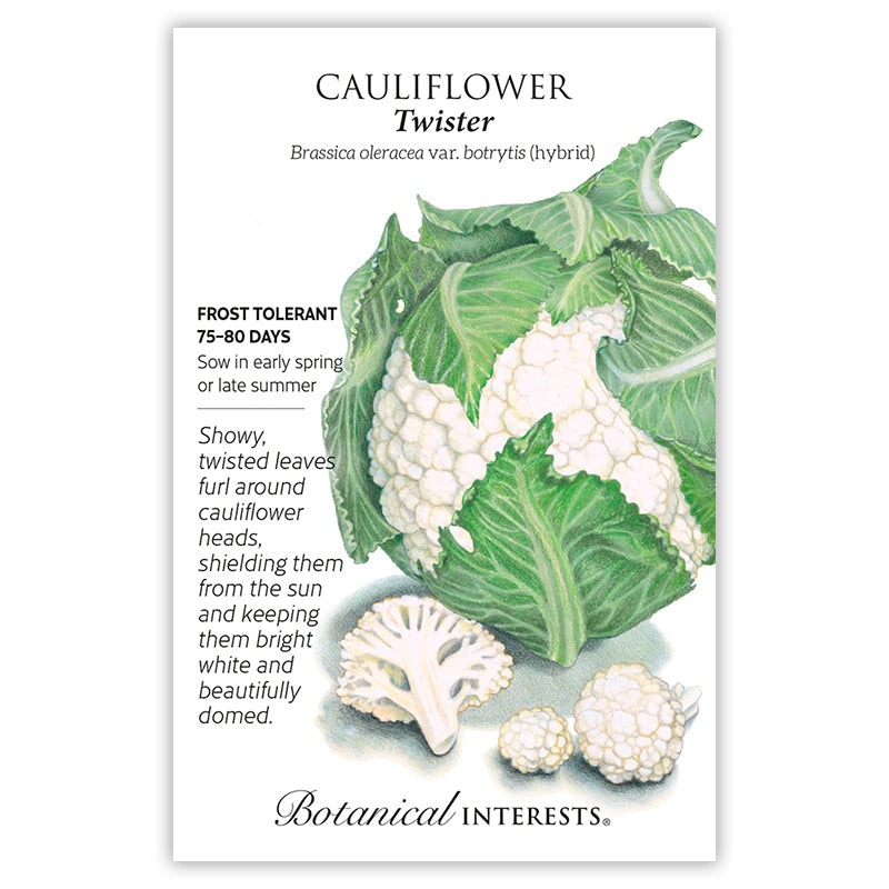 Twister Cauliflower Seeds