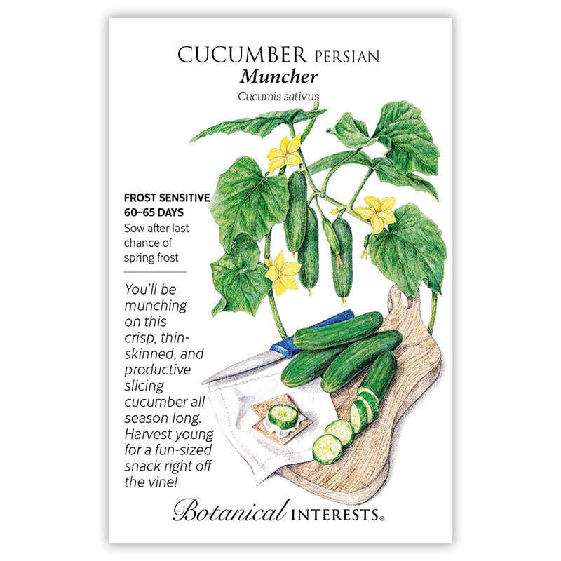 plant cucumber seeds from cucumber Muncher Persian Cucumber Seeds