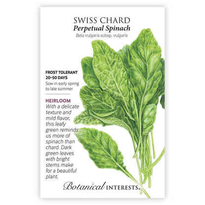 Perpetual Spinach Swiss Chard Seeds