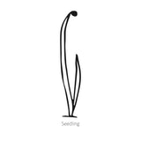 Solbunch Bunching/Scallion Onion Seeds