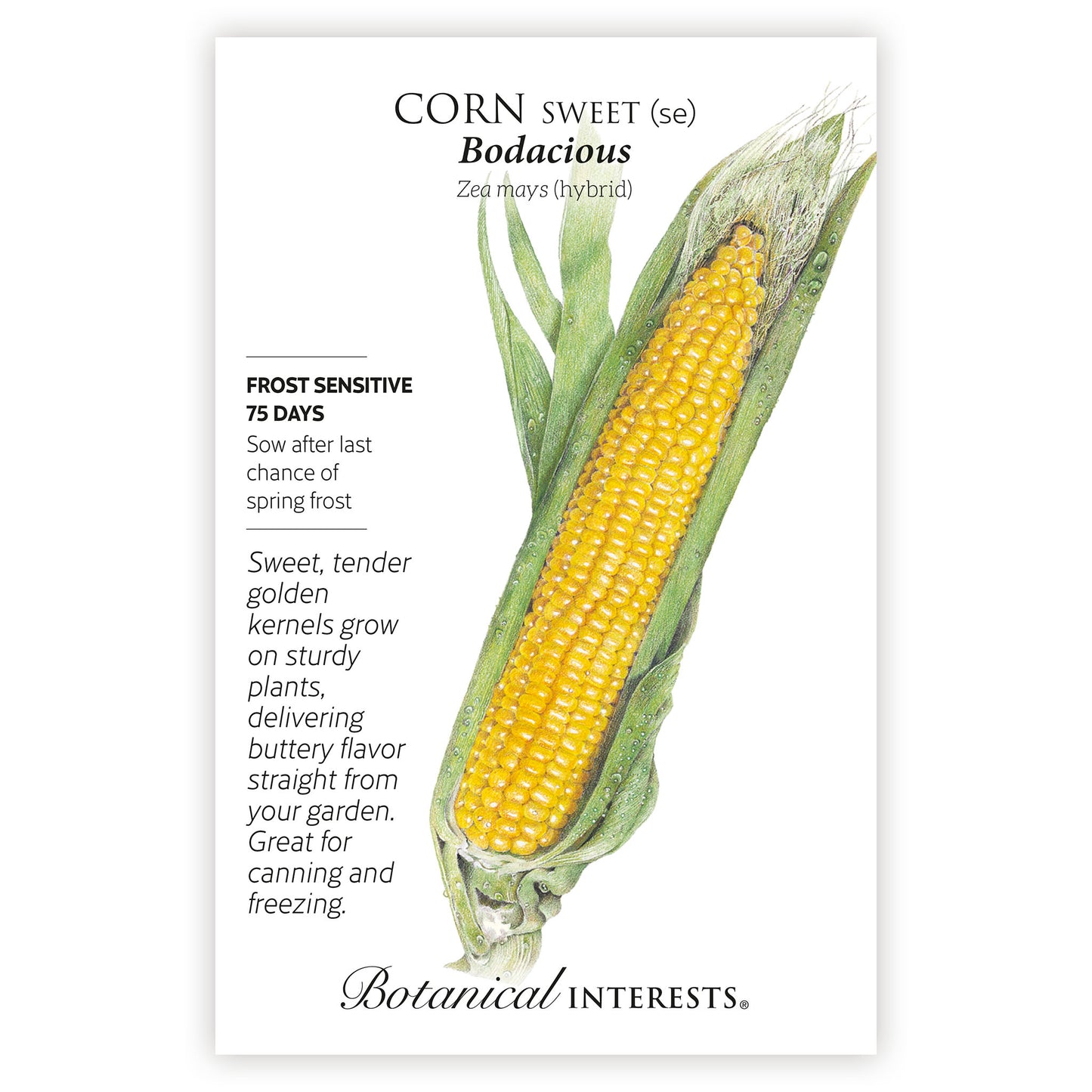 2026 New Varieties Seed Bundle