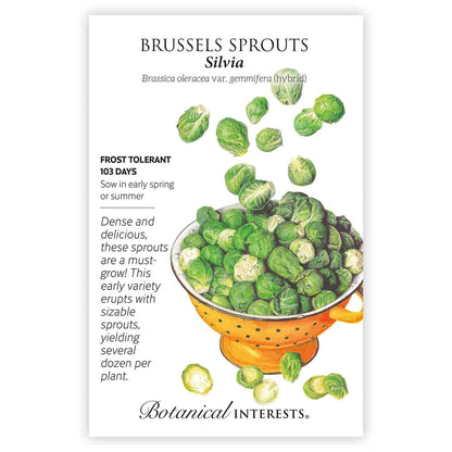 Silvia Brussels Sprouts Seeds