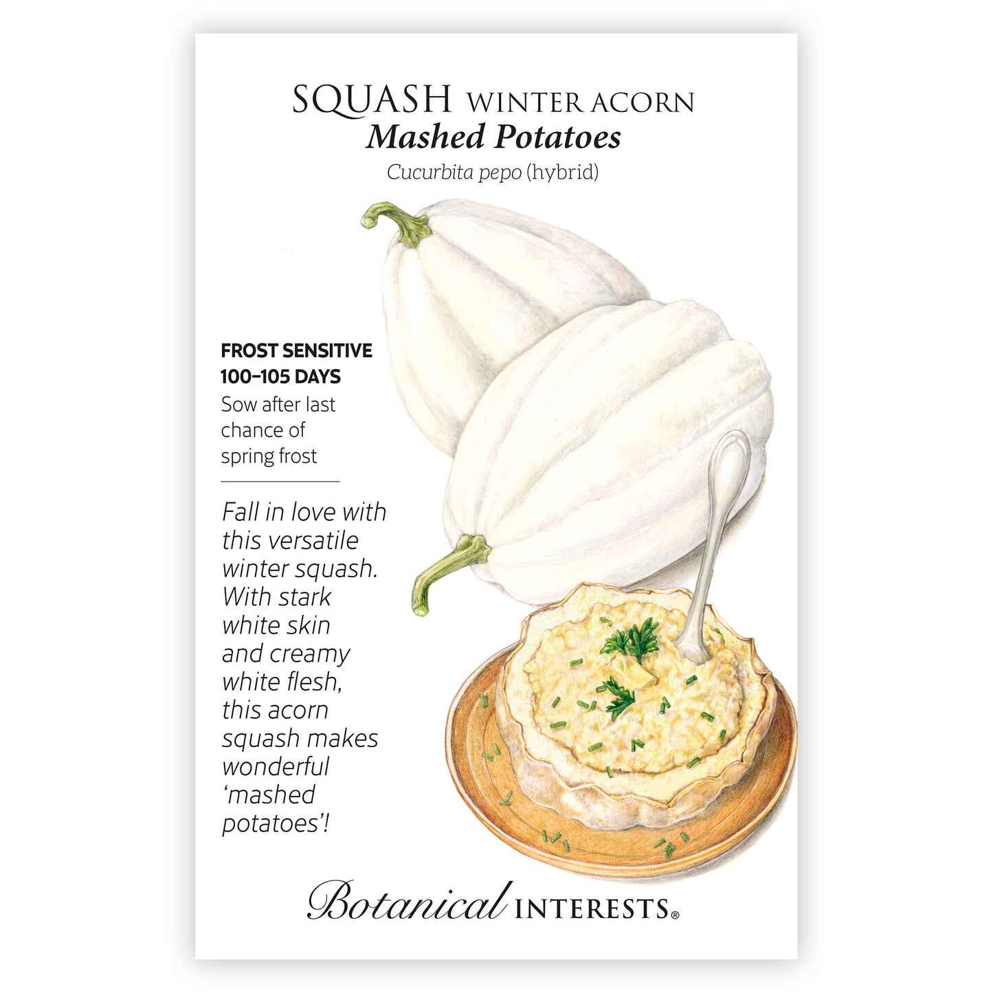 Mashed Potatoes Acorn Winter Squash Seeds