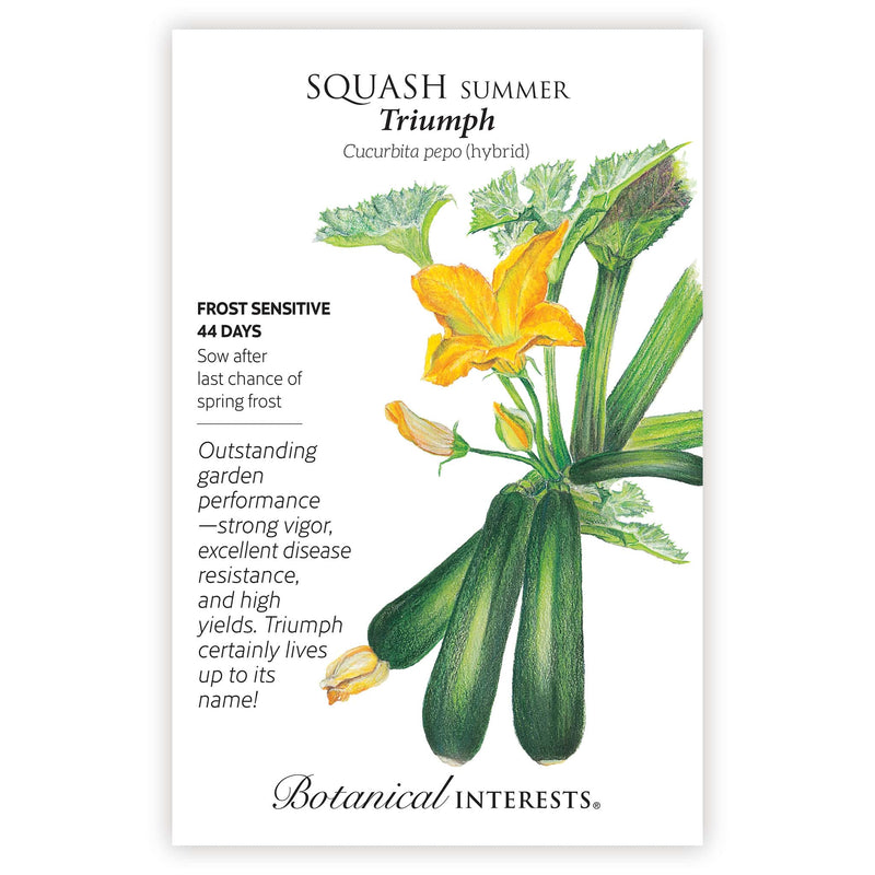 Triumph Summer Squash Seeds