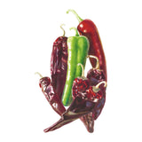 Durango Mirasol/Guajillo Chile Pepper Seeds
