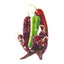 Durango Mirasol/Guajillo Chile Pepper Seeds