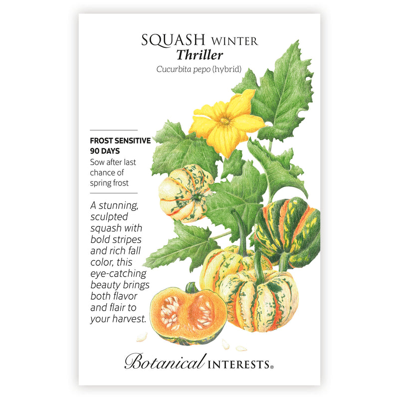 Thriller Winter Squash Seeds