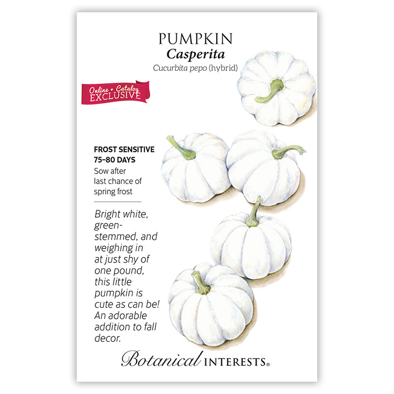 Casperita Pumpkin Seeds