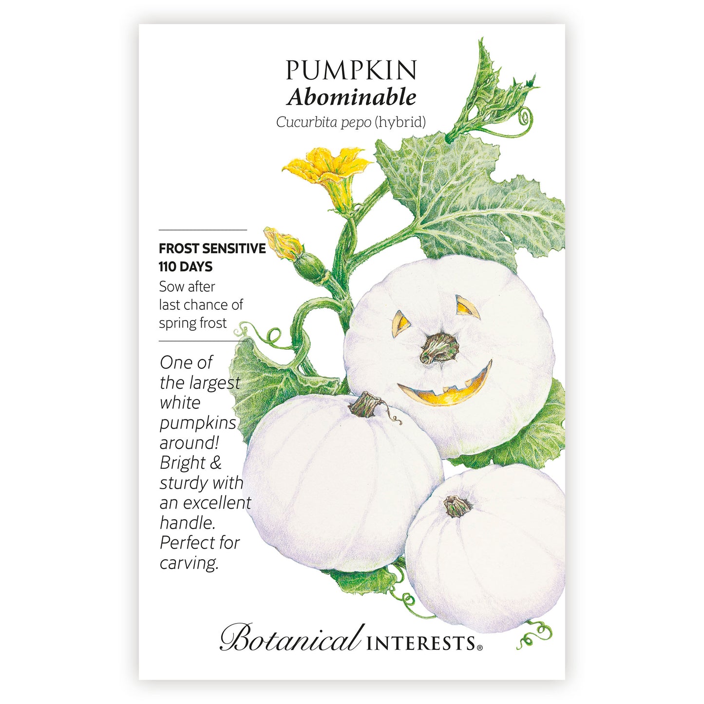2026 New Varieties Seed Bundle