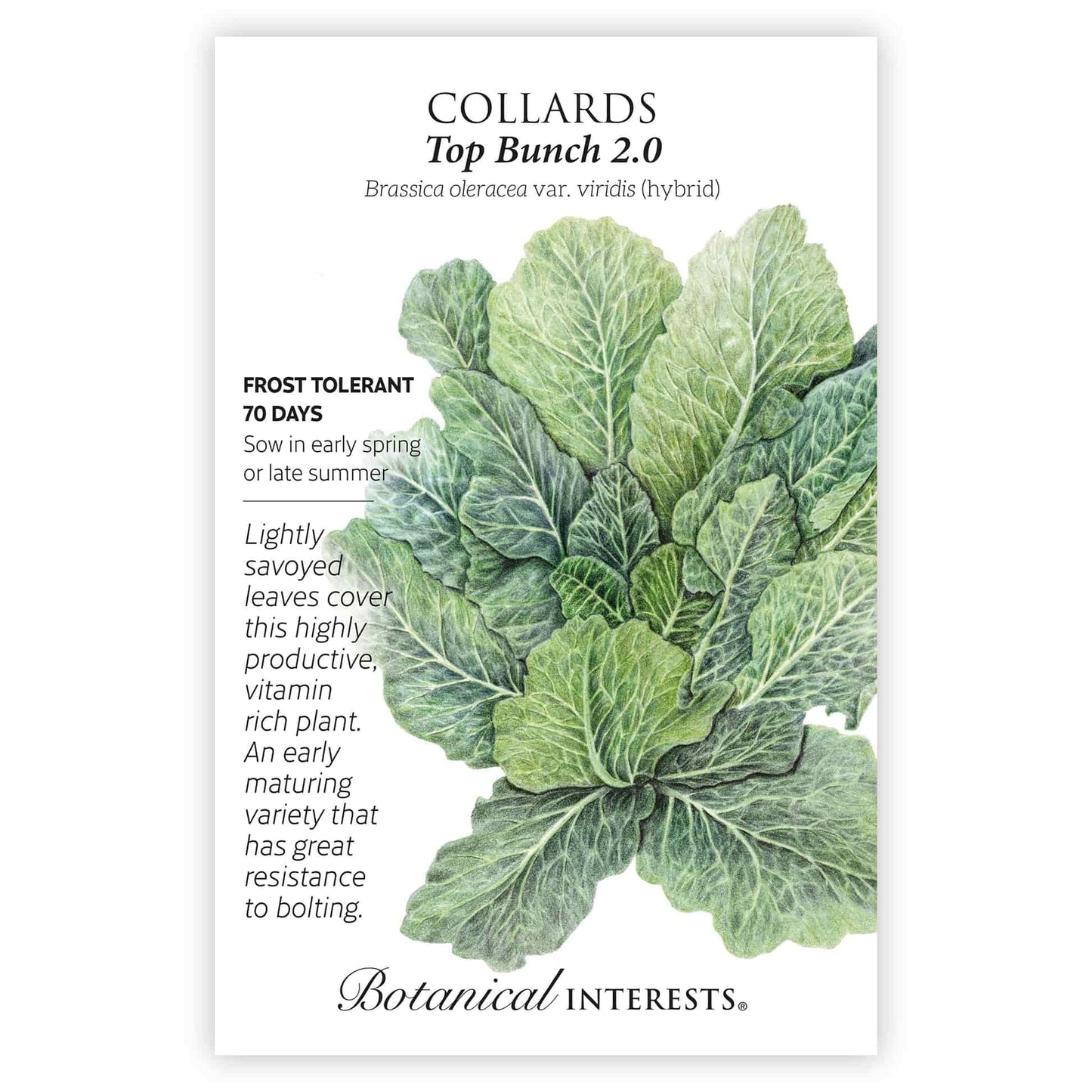 Top Bunch 2.0 Collards Seeds