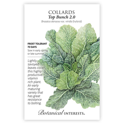 Top Bunch 2.0 Collards Seeds