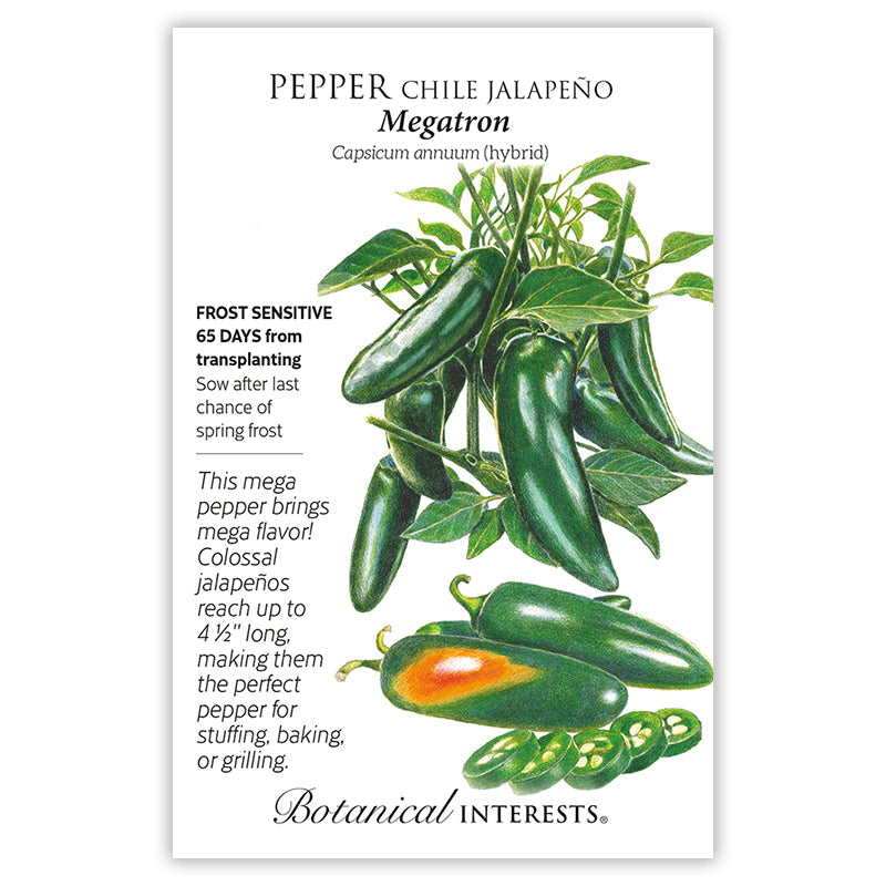 Megatron Jalapeño Chile Pepper Seeds Product Image