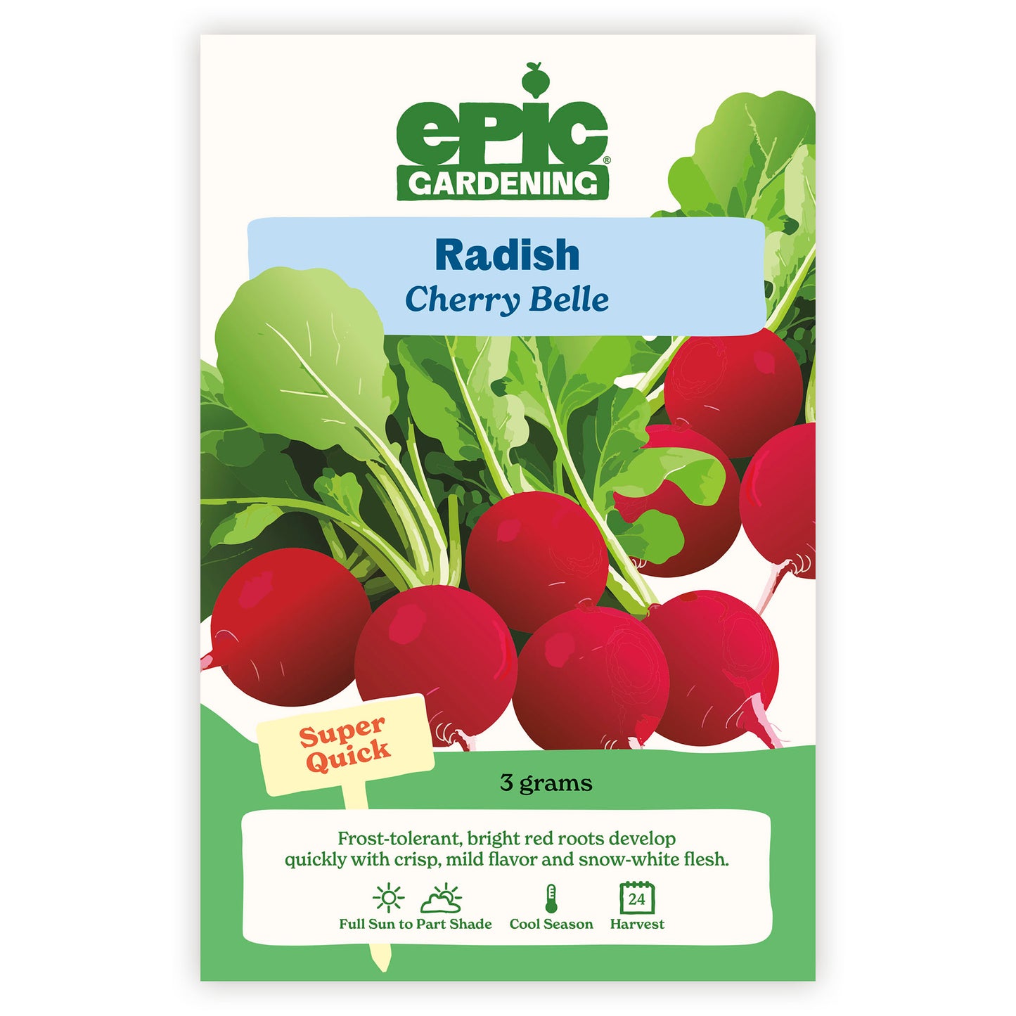 Cherry Belle Radish