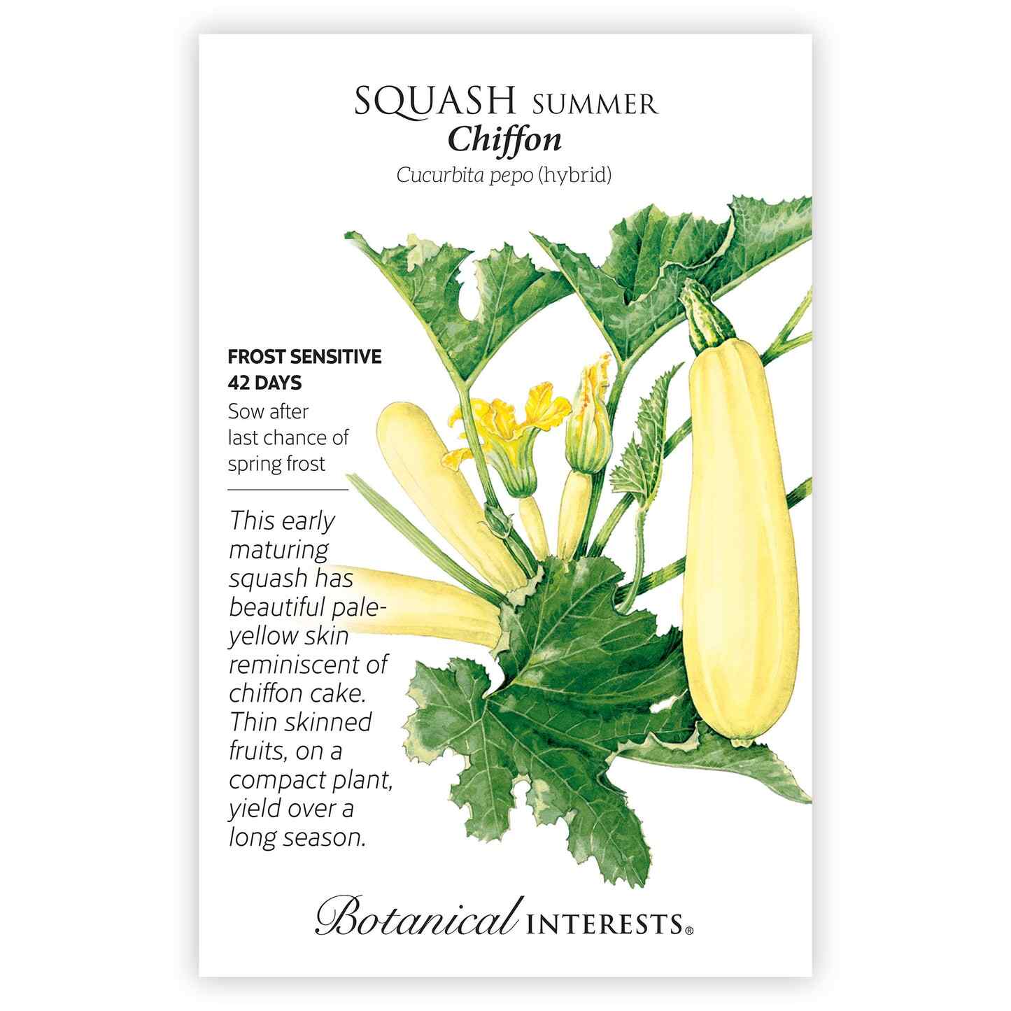 Chiffon Summer Squash Seeds