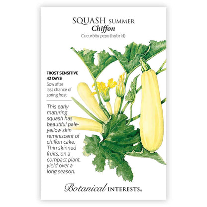 Chiffon Summer Squash Seeds