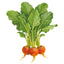 Golden Detroit Beet