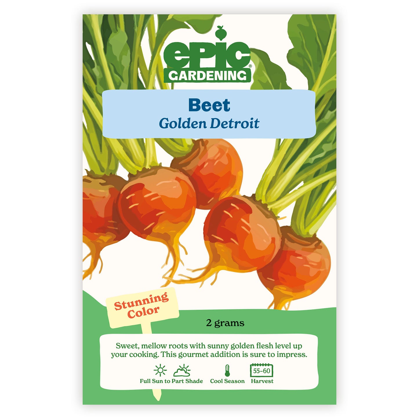 Golden Detroit Beet