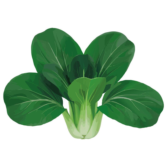 Ewok Bok Choy
