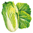 Wawa Tsai Napa Cabbage