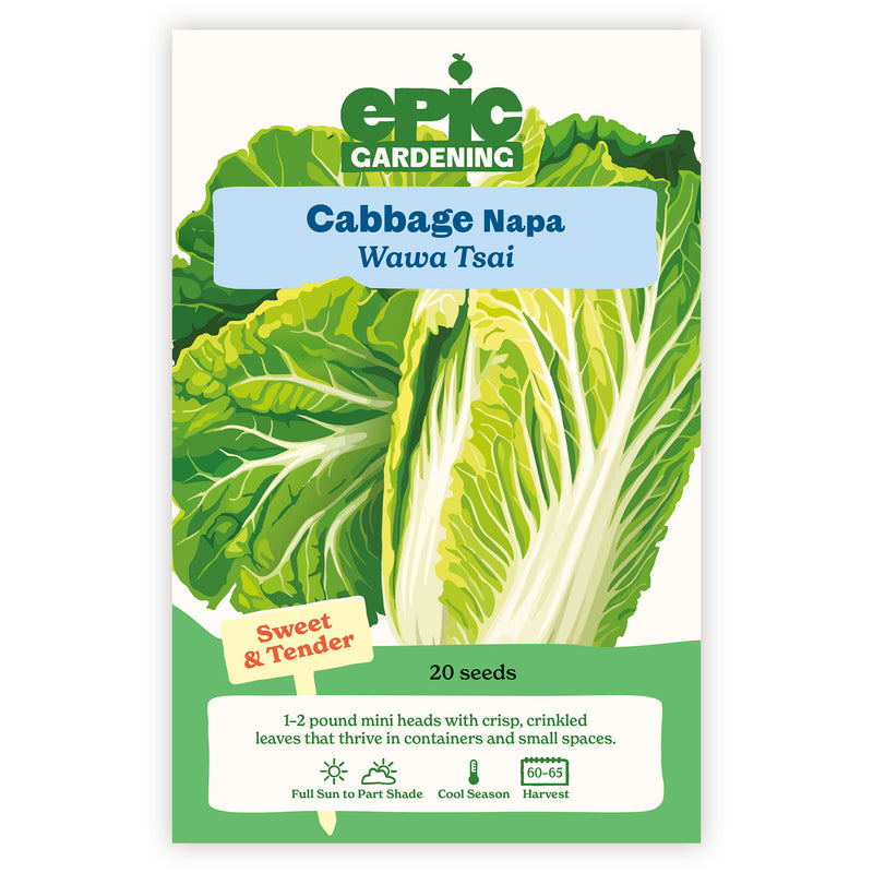 Wawa Tsai Napa Cabbage
