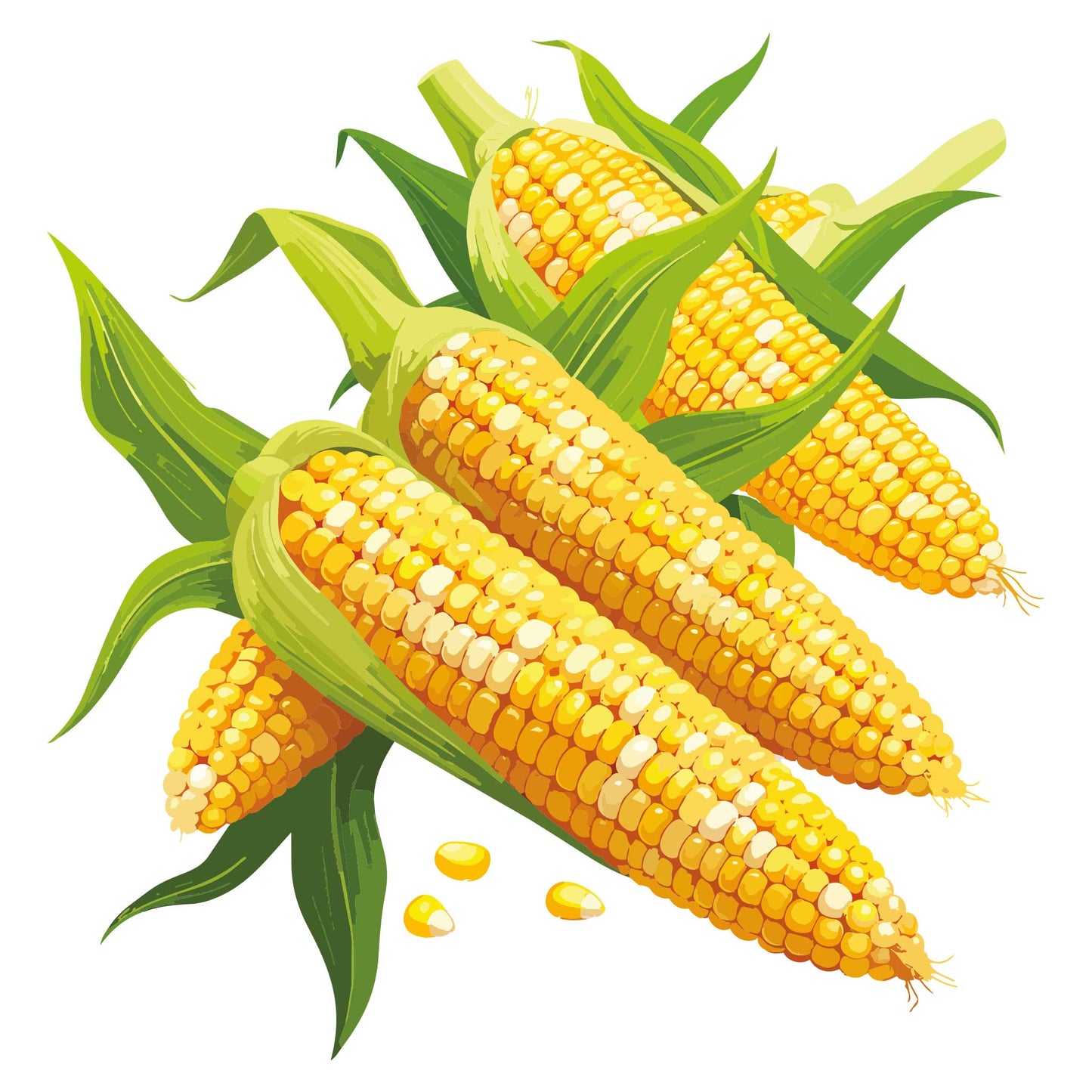 QuickStart Sweet Corn