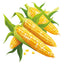 QuickStart Sweet Corn