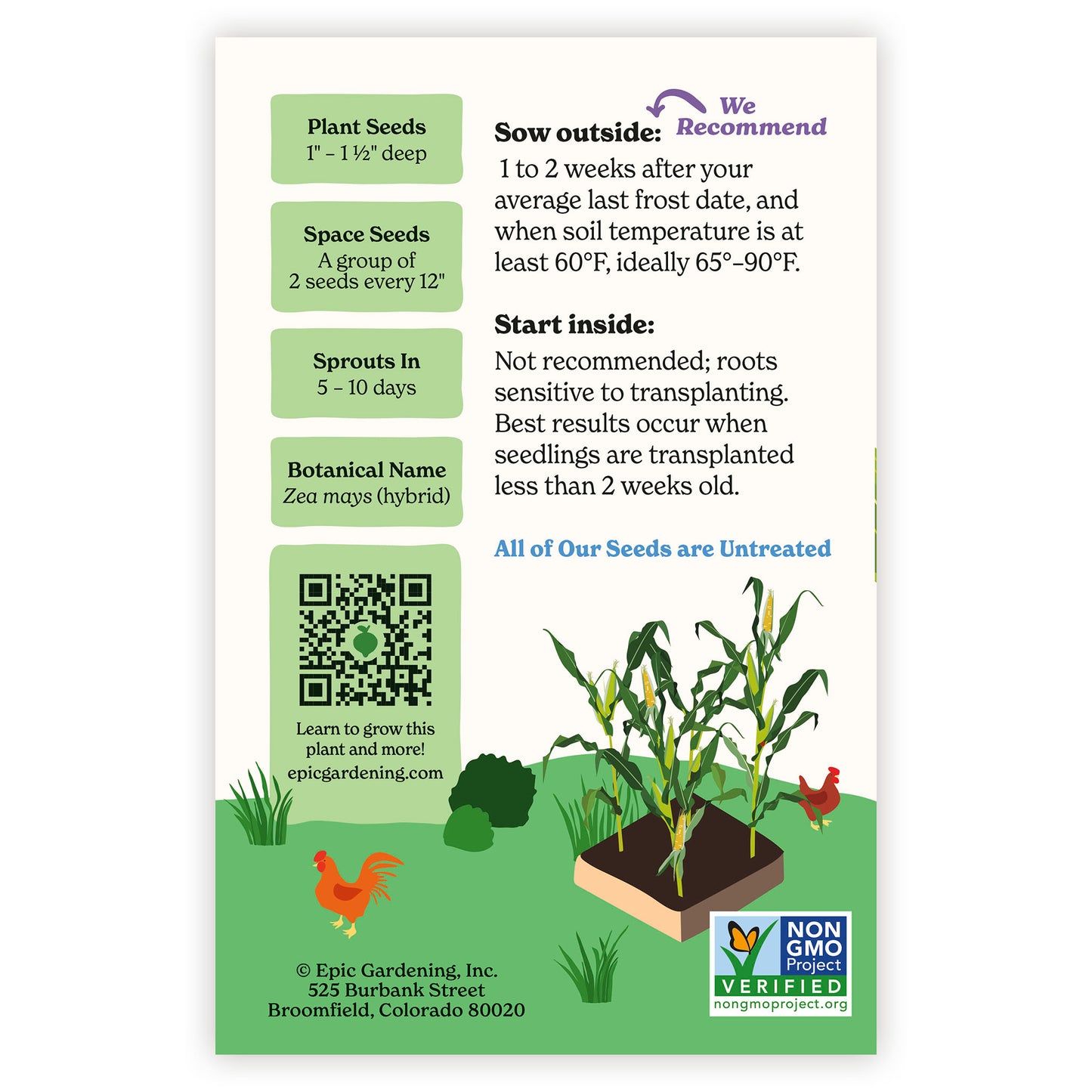 QuickStart Sweet Corn