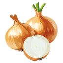Texas Early Grano Yellow Onion