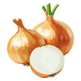 Texas Early Grano Yellow Onion