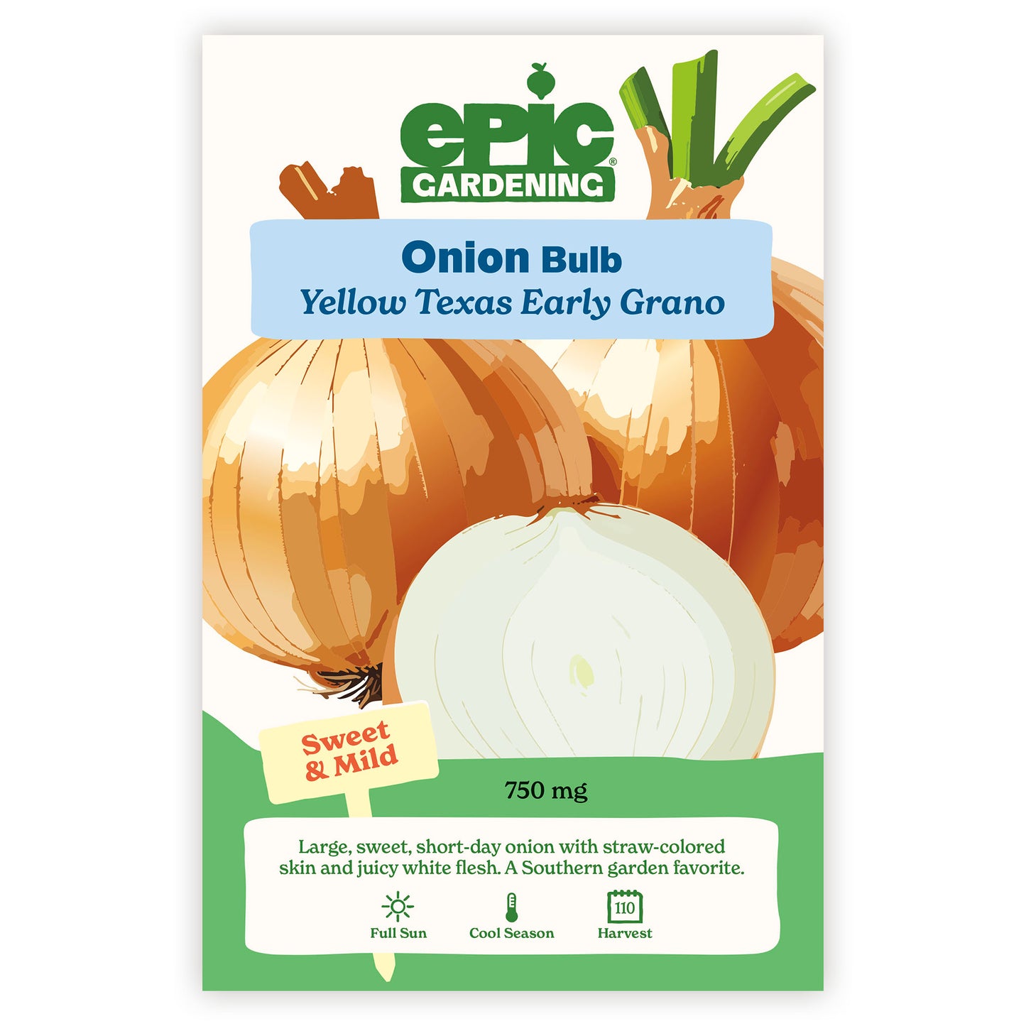 Texas Early Grano Yellow Onion