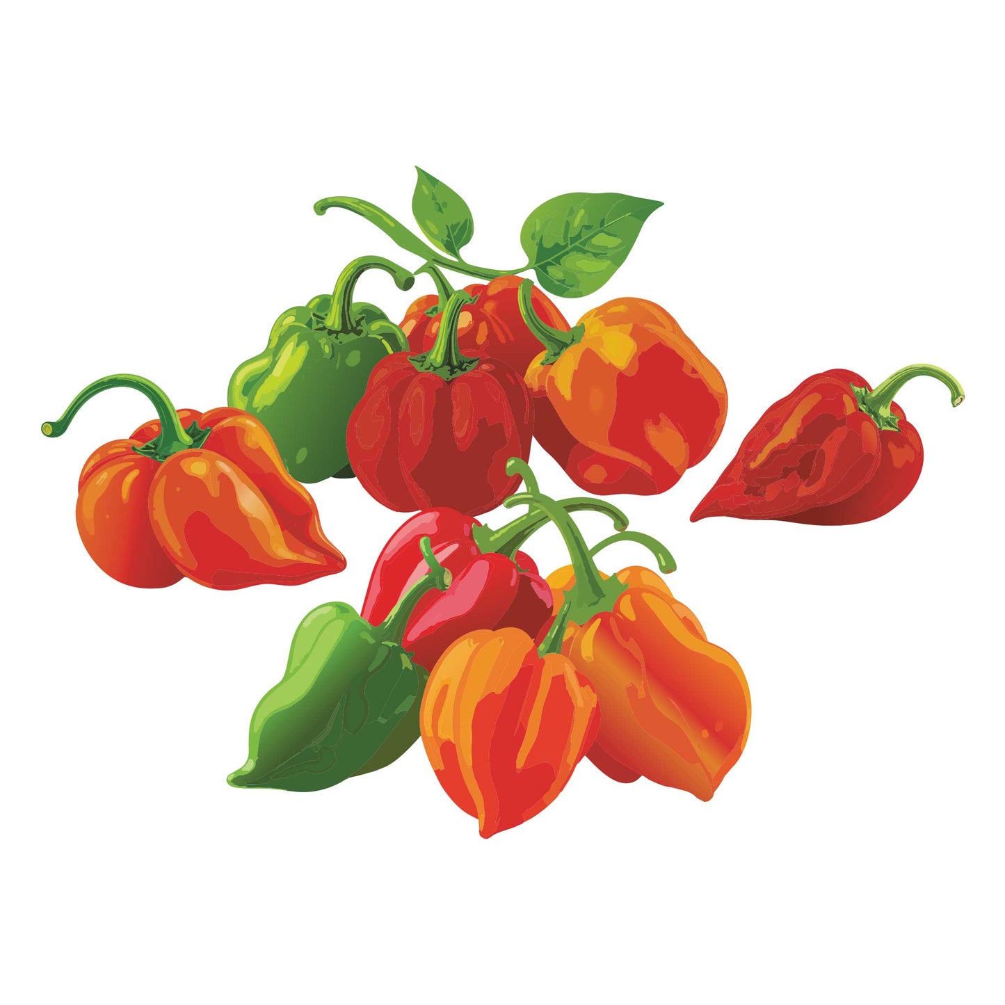 Habanero Blend Chile Pepper
