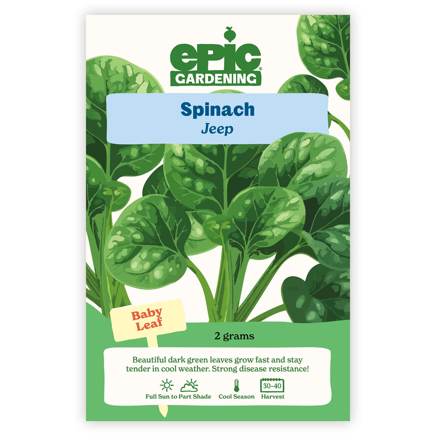 Jeep Spinach