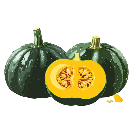 Kabocha Winter Squash